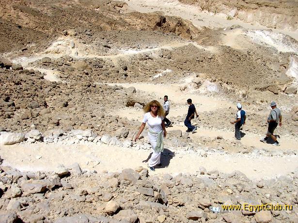 ������� ������