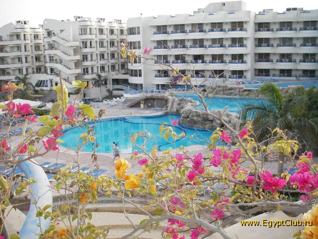 ��� ������