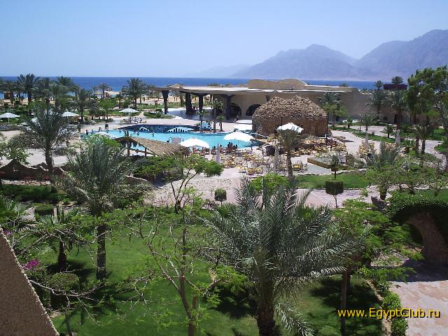 ���� �����