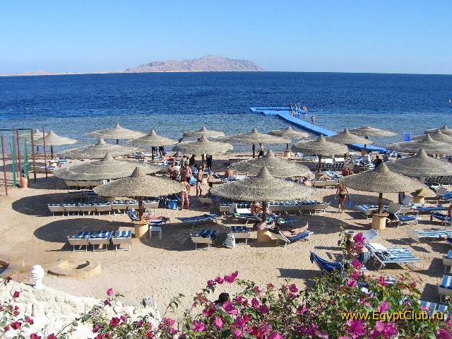 ������� ������