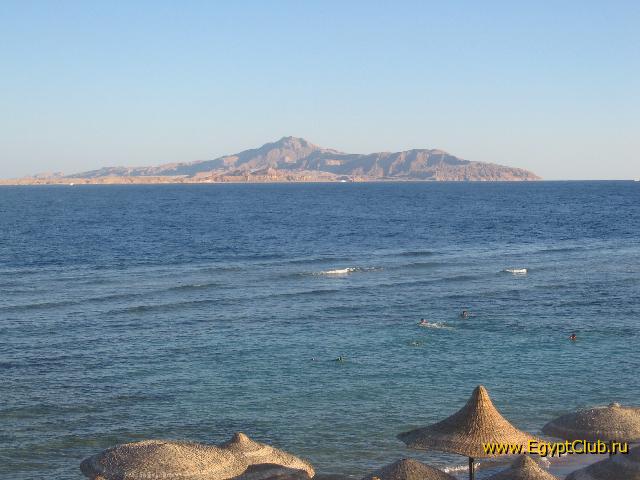 ������ �����