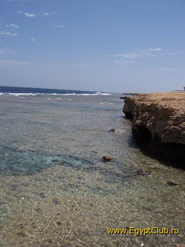 ��� �� ���� �� ������