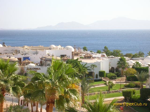 ��� �� 33 �������