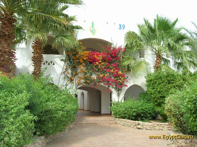 39 ������