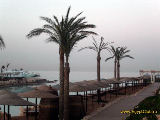 ������ �����