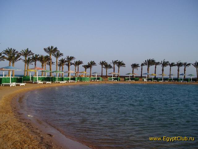 �������-2006