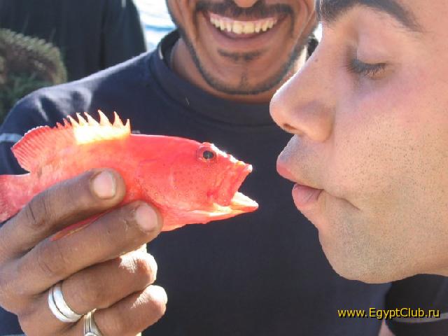 ������� � ������� ������