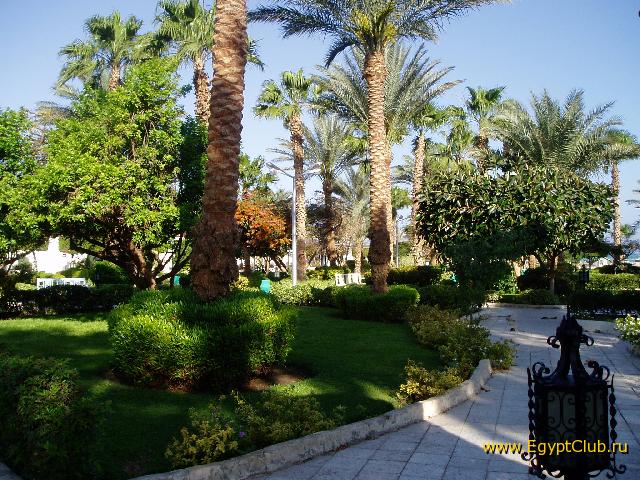 �������-2006