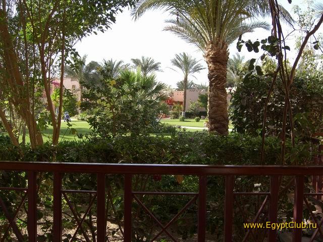 ��� �� ������