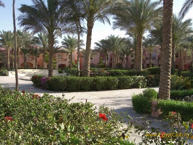 �� ���������� �����