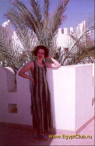 ����� Comfort El Dewan