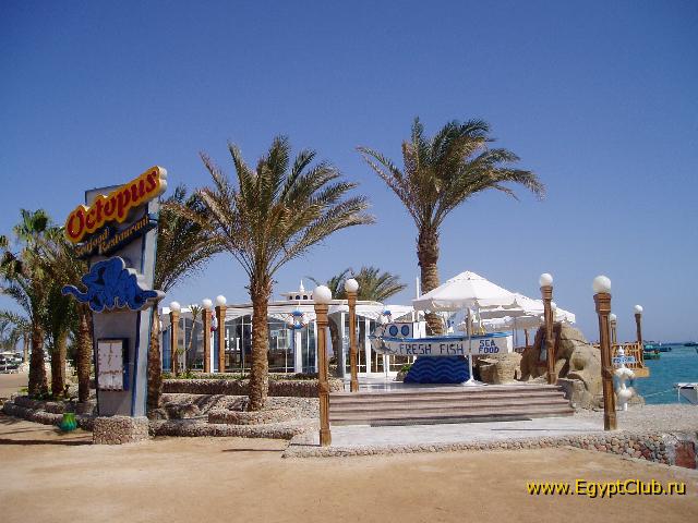 �������-2006