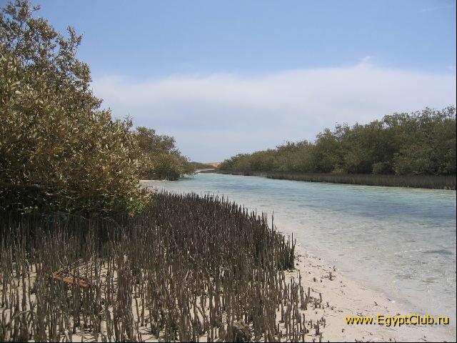 ��������� ����