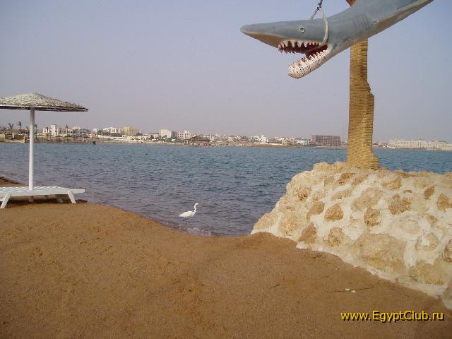 �������-2006