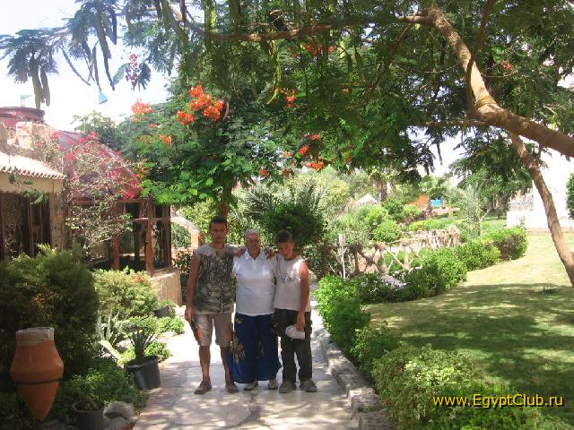 ����������