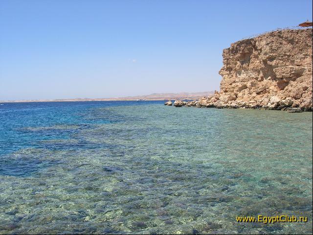 ��� (���� � �����)