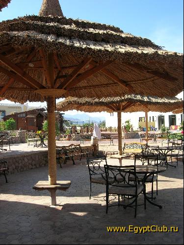 ����� ������������ ����