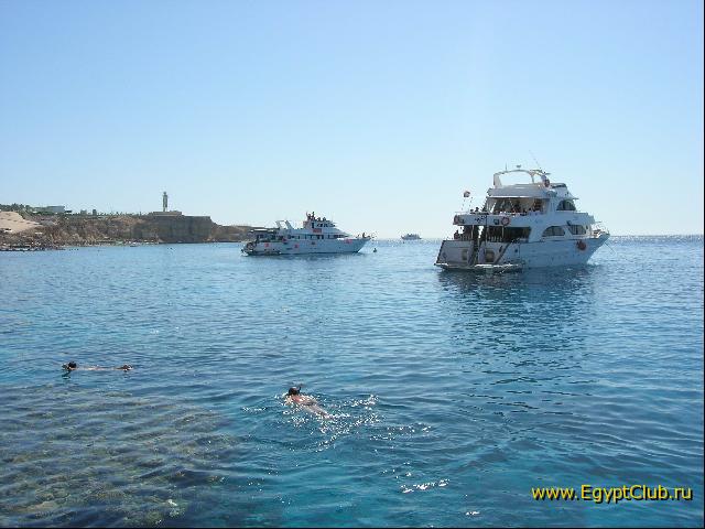 ���� ���� � �����