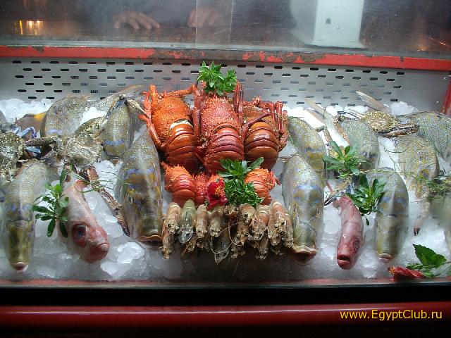 ������������