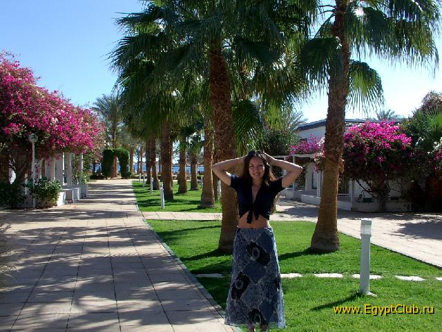 ��� �����