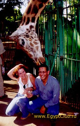 �������� �������