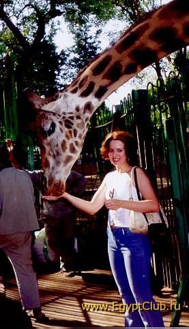 �������� �������