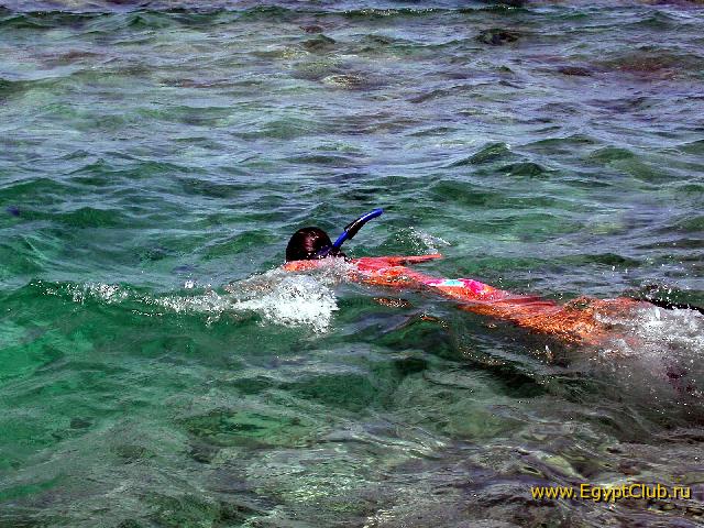 ���������� � ����:��� �����...