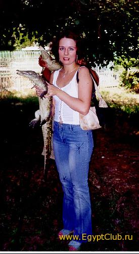 �������� �������