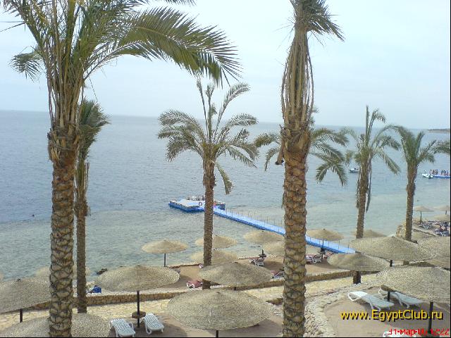 ����� ������ (���� �� ��������)