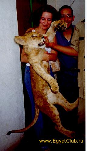 �������� �������