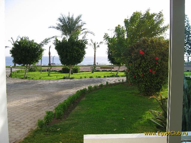 ��� �� ����