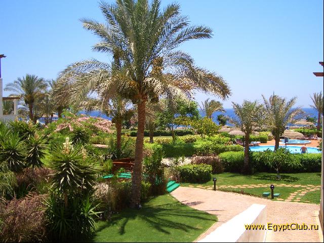 ���������� � ��������