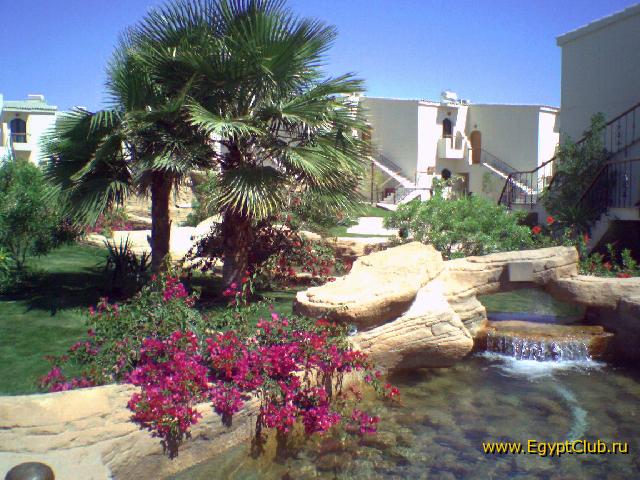 ������ �����