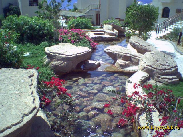 ������ �����