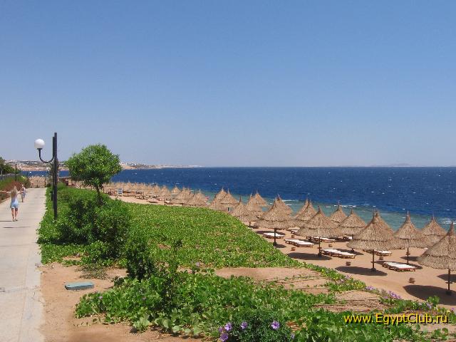 �������!!!!