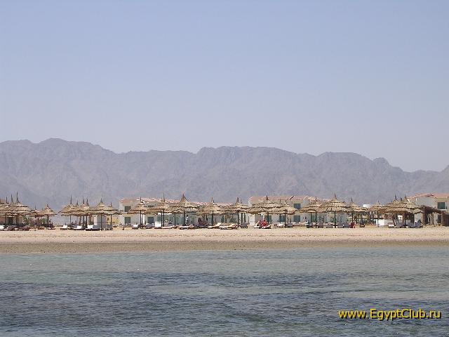 ��� � ����