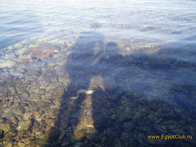 �� � ������