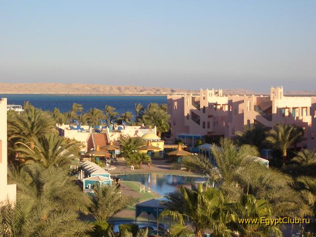 ��� ������