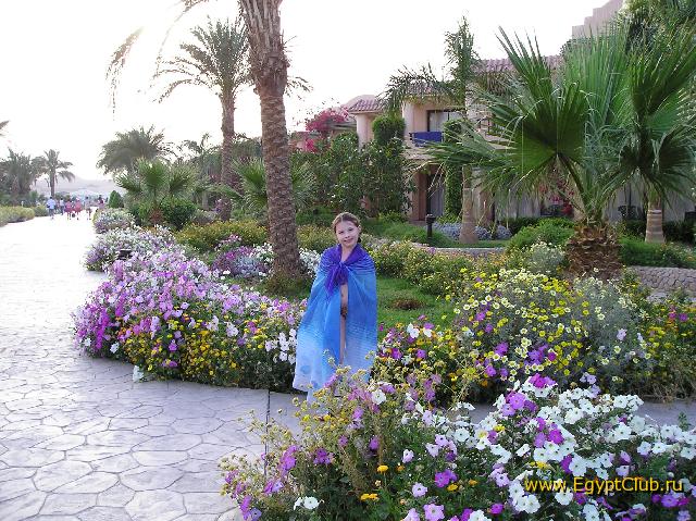 ���-����