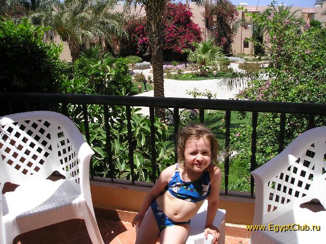 ��� ����