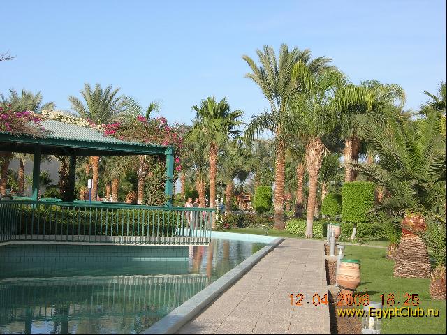 ������ � �����