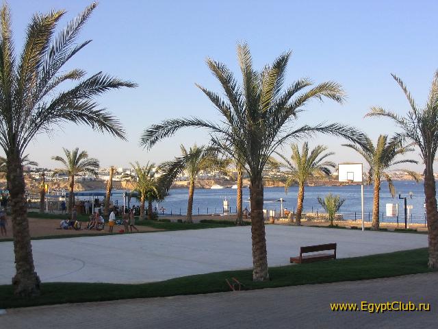 ���������� ��������