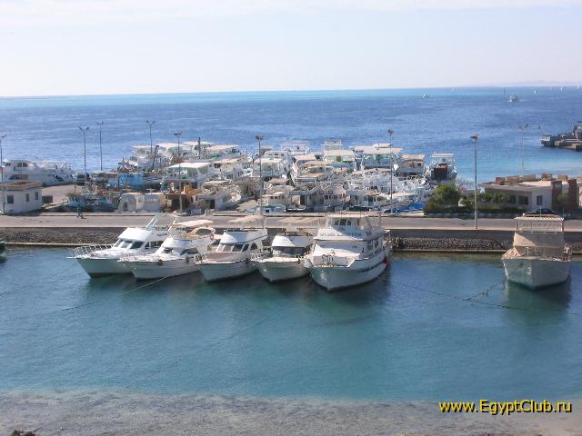 ��� � �������