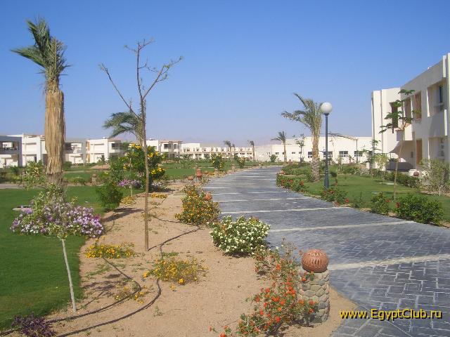 ������ � ��������� ����� 11 ����