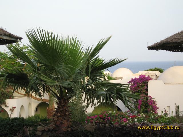 ��� �� 37 �������