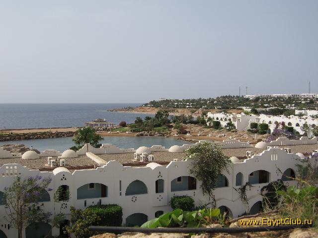 ��� �� ���� ����