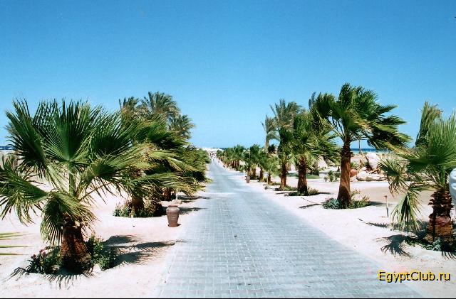 �� ������ �� ����...