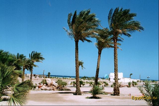 ���������� CoralBeach