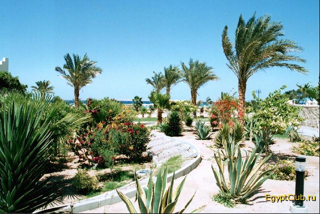 ���������� CoralBeach