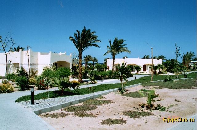 ��� �� �������